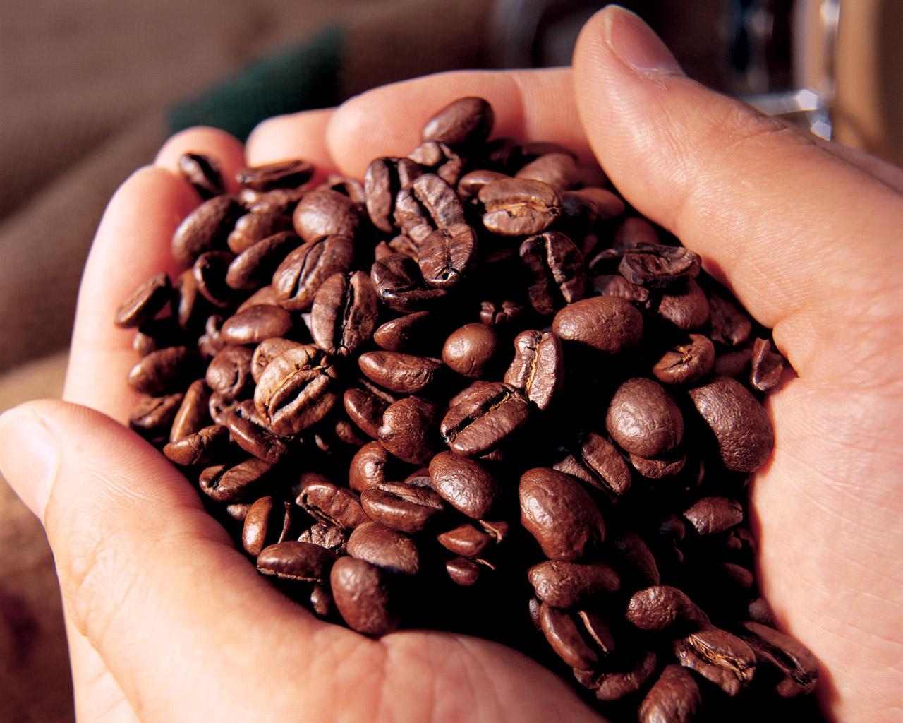Cafe nguyên chất: Người Việt Nam trồng nhưng không được uống 4 cà phê nguyên chất