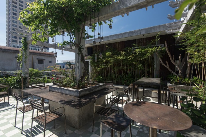 7 Cách trang trí cây xanh đẹp, làm mát cho quán cafe đẹp và thu hút tài lộc, may mắn 25 cách trang trí cây xanh cho quán cà phê