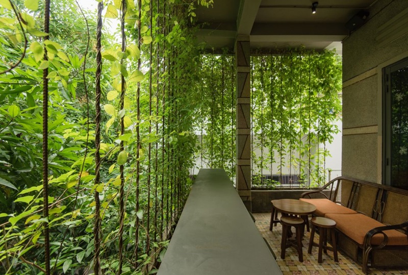 7 Cách trang trí cây xanh đẹp, làm mát cho quán cafe đẹp và thu hút tài lộc, may mắn 26 cách trang trí cây xanh cho quán cà phê