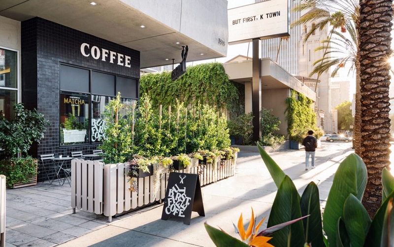 7 Cách trang trí cây xanh đẹp, làm mát cho quán cafe đẹp và thu hút tài lộc, may mắn 10 cách trang trí cây xanh cho quán cà phê