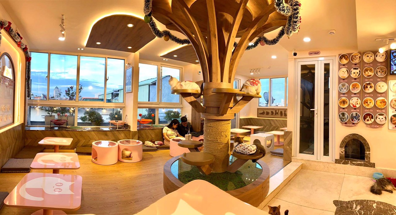 mô hình kinh doanh quán cafe thú cưng
