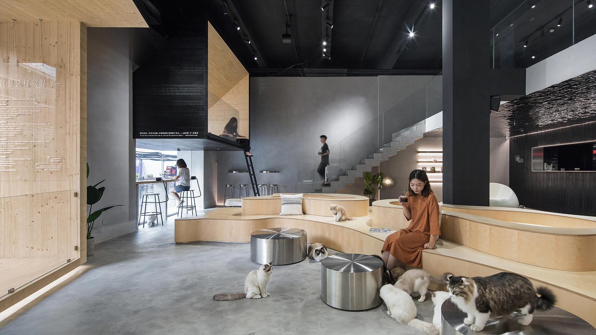mô hình kinh doanh quán cafe thú cưng