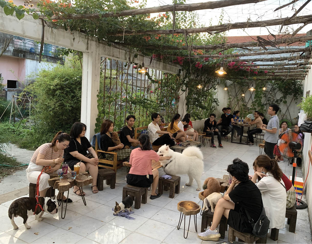 mô hình kinh doanh quán cà phê thú cưng