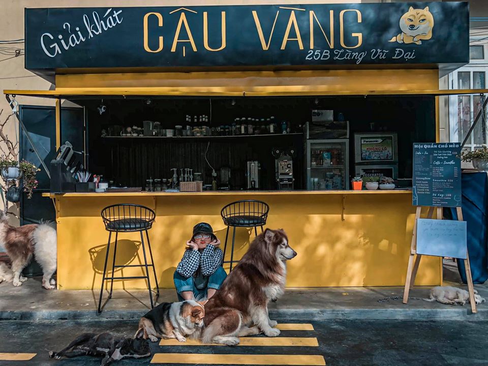 mô hình kinh doanh quán cà phê thú cưng