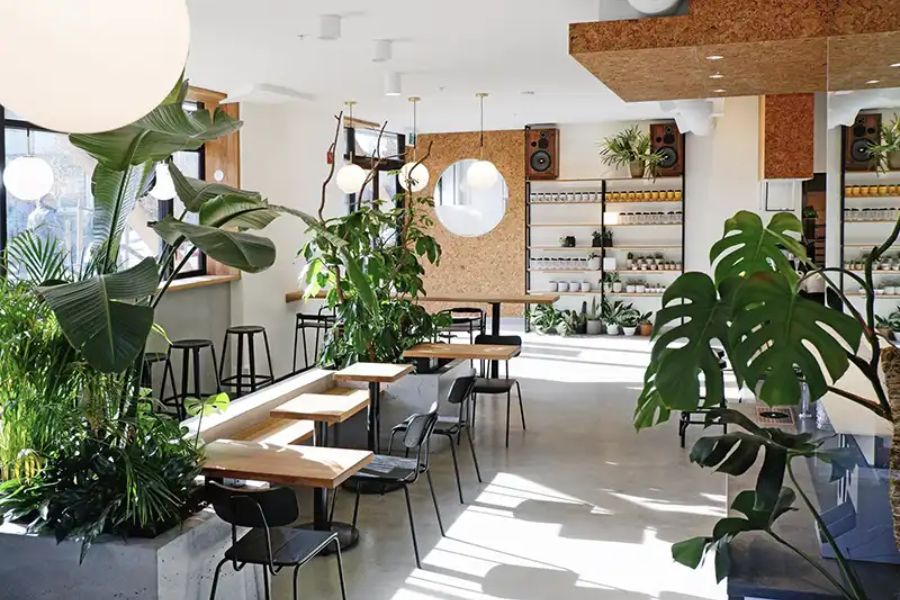 7 Cách trang trí cây xanh đẹp, làm mát cho quán cafe đẹp và thu hút tài lộc, may mắn 13 trang trí cây xanh cho quán cafe