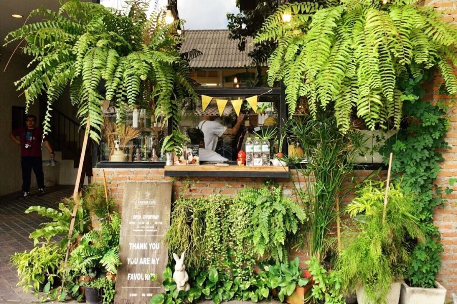 7 Cách trang trí cây xanh đẹp, làm mát cho quán cafe đẹp và thu hút tài lộc, may mắn 4 trang trí cây xanh cho quán cafe