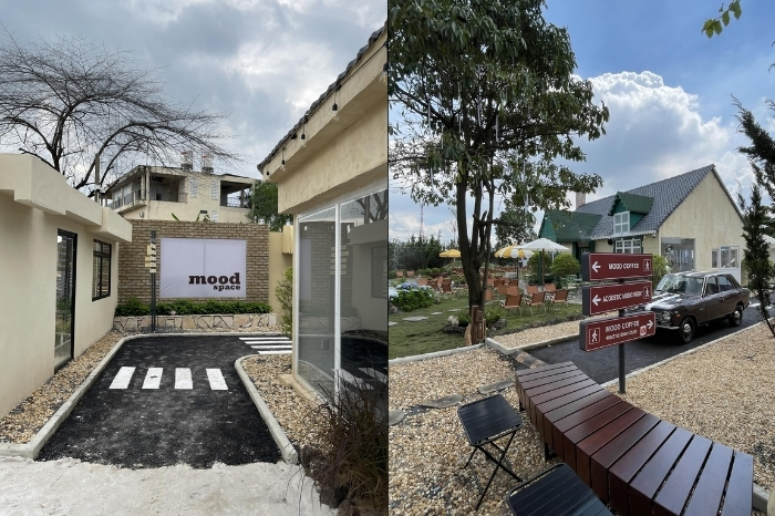 20 Mẫu Thiết Kế Quán Cafe Phong Cách Hàn Quốc Đốn Tim Giới Trẻ 2026 11 Thiết kế quán cafe phong cách Hàn Quốc