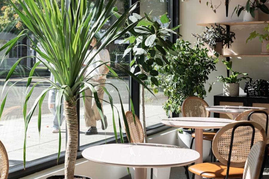 6 Mẹo Thiết Kế Quán Cafe Tiết Kiệm – Hút Khách – Dễ Thi Công 4 Thiết kế quán cafe tiết kiệm