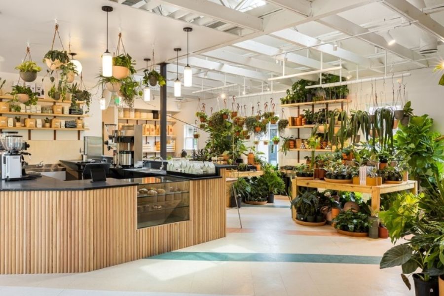 Thiết Kế Cafe Phong Cách Nhiệt Đới Ý Tưởng Độc Đáo Và Sang Trọng 2026 5 Thiết Kế Cafe Phong Cách Nhiệt Đới