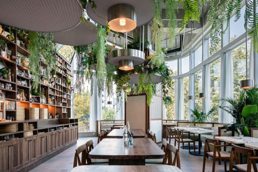 Thiết Kế Cafe Phong Cách Nhiệt Đới Ý Tưởng Độc Đáo Và Sang Trọng 2026 3 Thiết Kế Cafe Phong Cách Nhiệt Đới