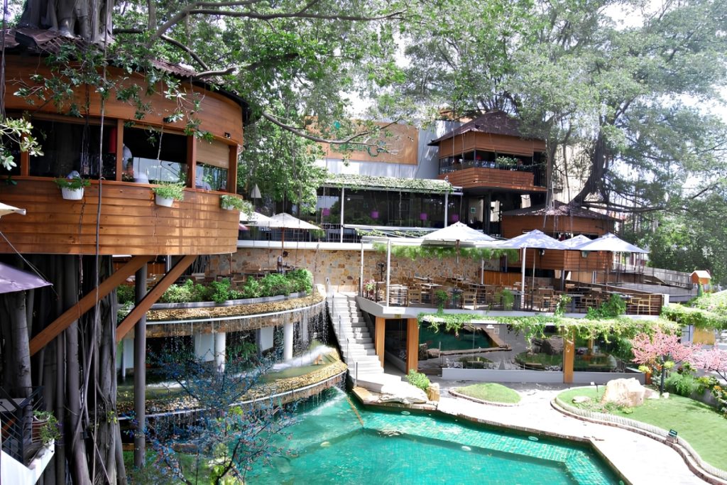 Thiết kế quán cafe từ biệt thự cũ 
